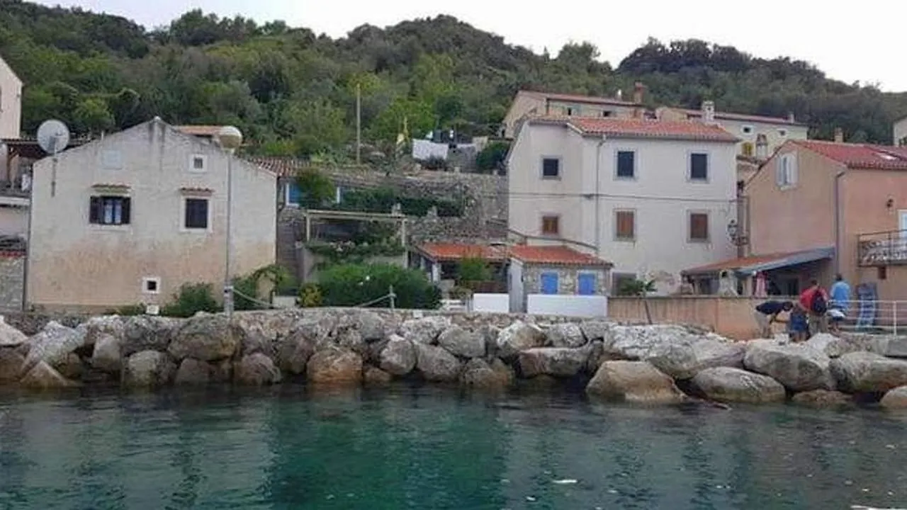 Apartments By The Sea Valun, Cres - 20860